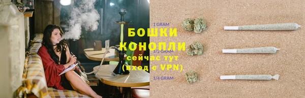 прущие крисы Беломорск