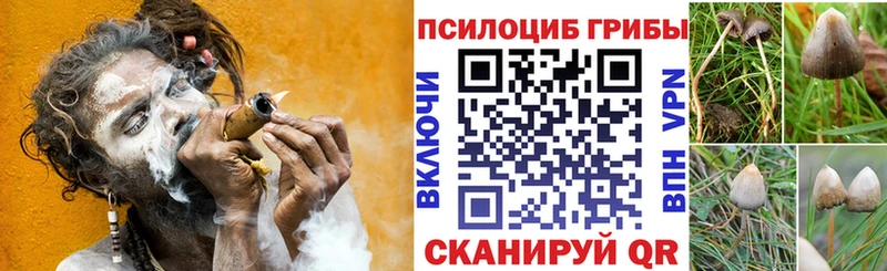 Купить где  Енисейск  Галлюциногенные грибы MAGIC MUSHROOMS 